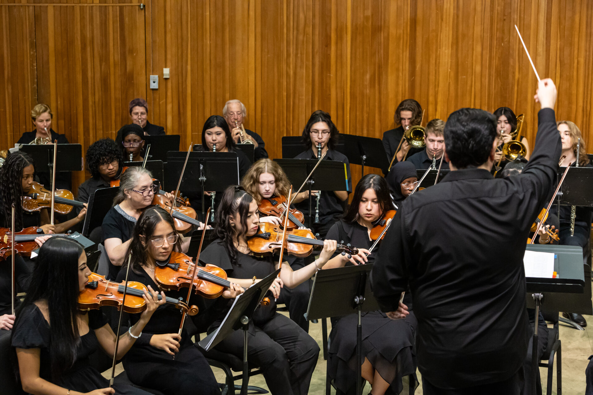 musicians in an orchestra performing